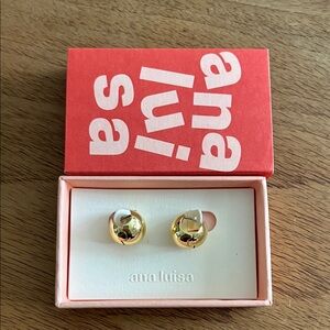 NWT Ana Luisa Earrings